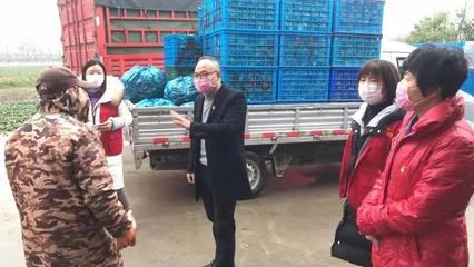 凤桥镇双线并进 开“路条”保供给，严防控安民生